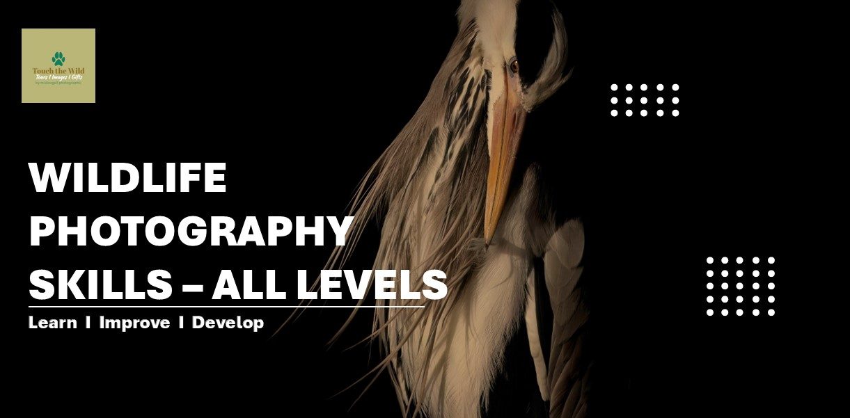 Paul McDougall Wildlife Photographer